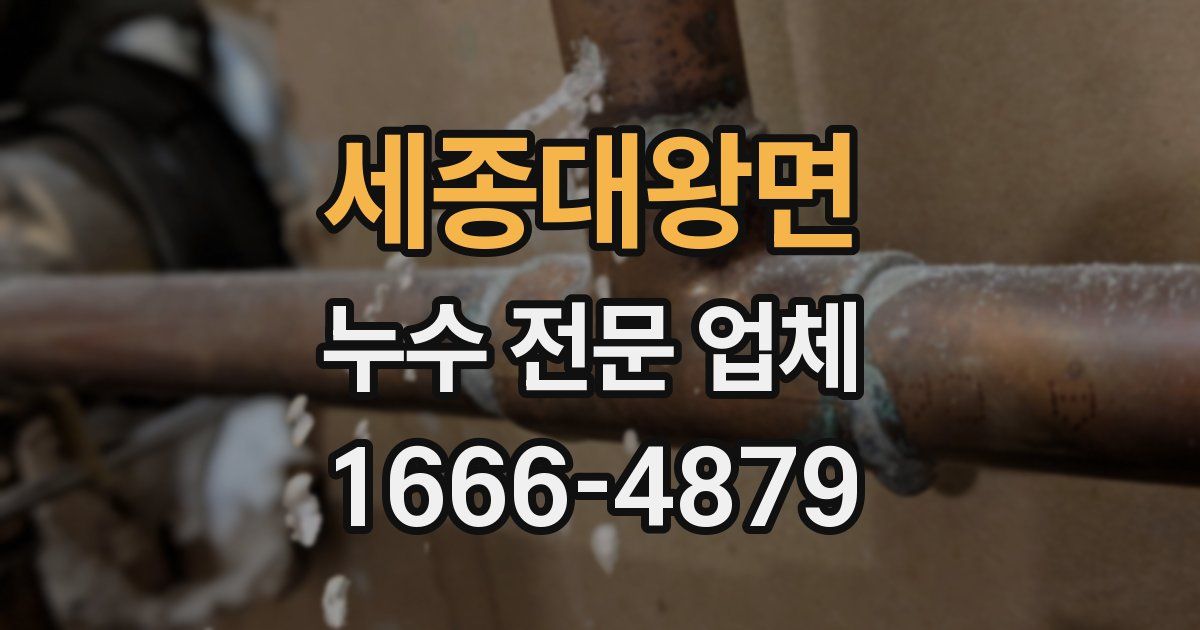 세종대왕면 누수 전문 업체