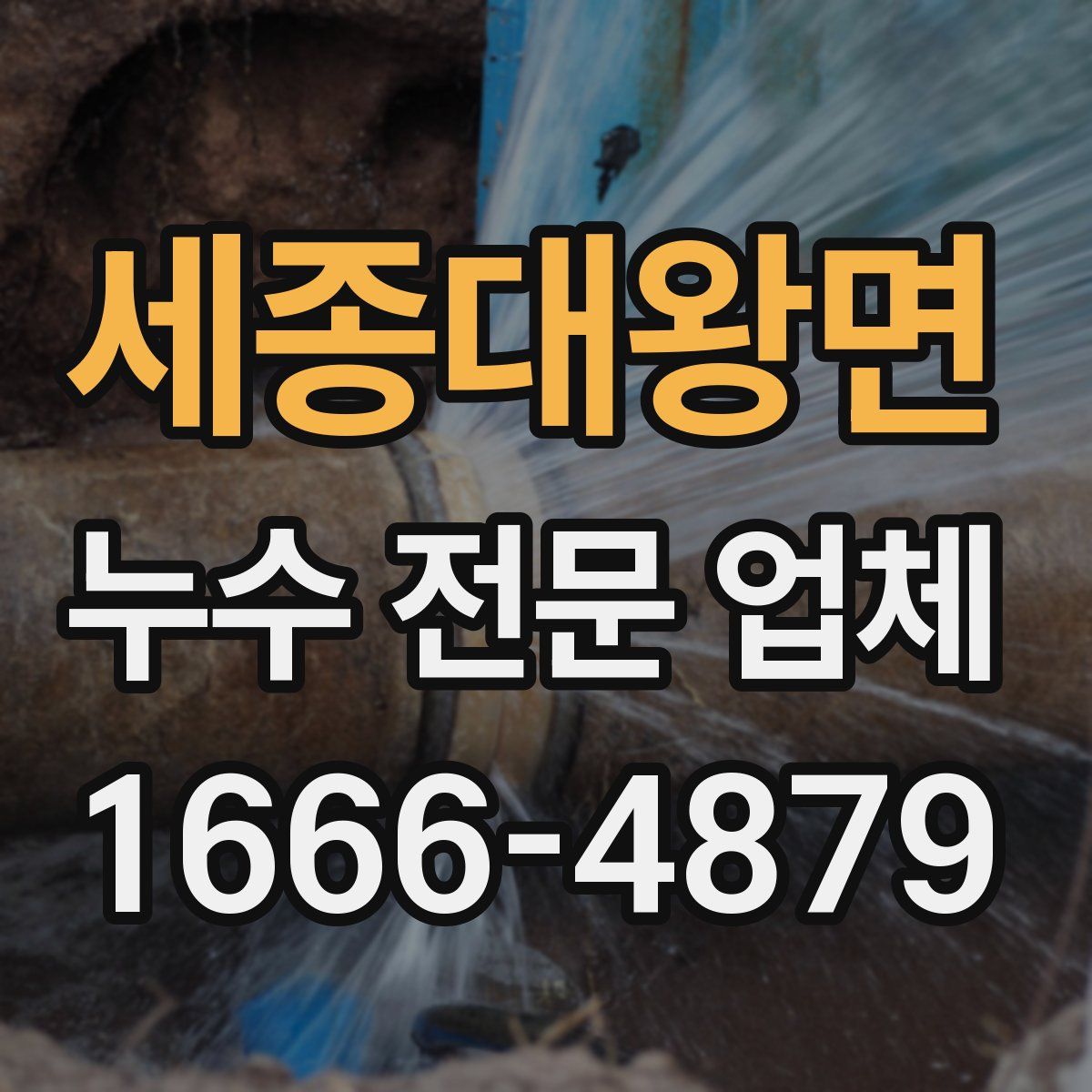 세종대왕면 누수 전문 업체
