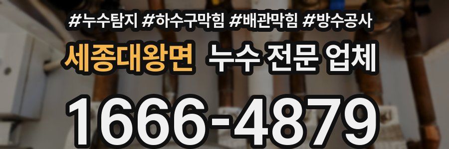 세종대왕면 누수 전문 업체