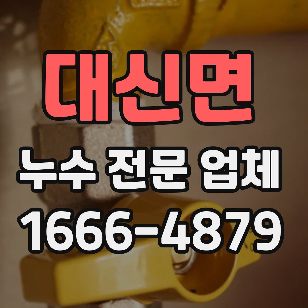 대신면 누수 전문 업체