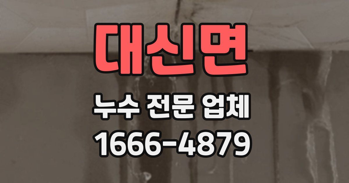 대신면 누수 전문 업체