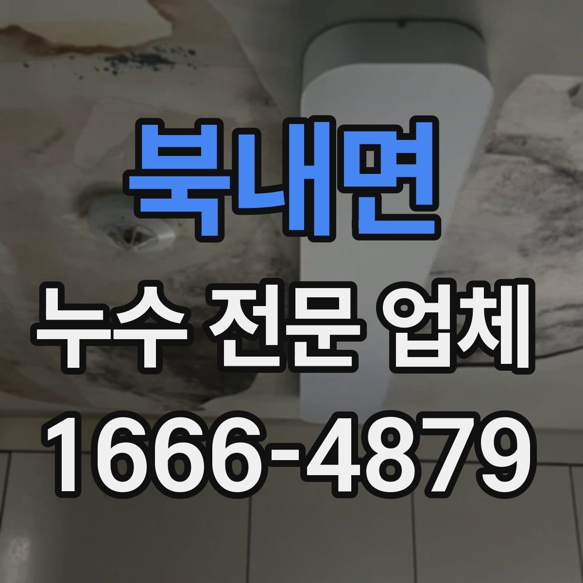 북내면 누수 전문 업체