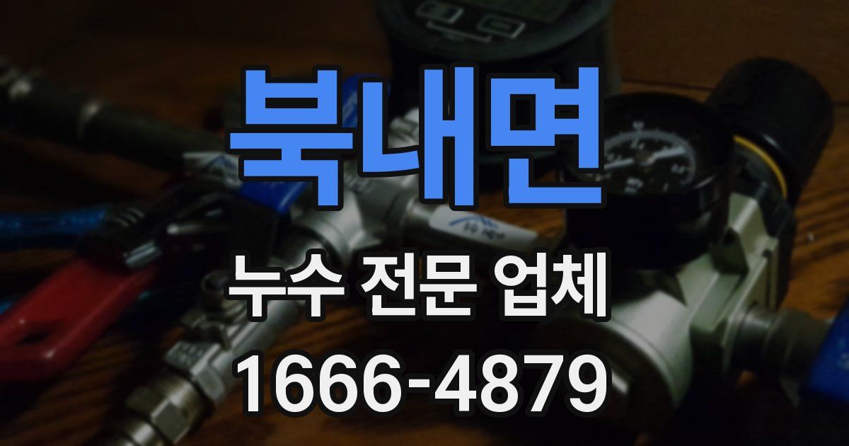 북내면 누수 전문 업체