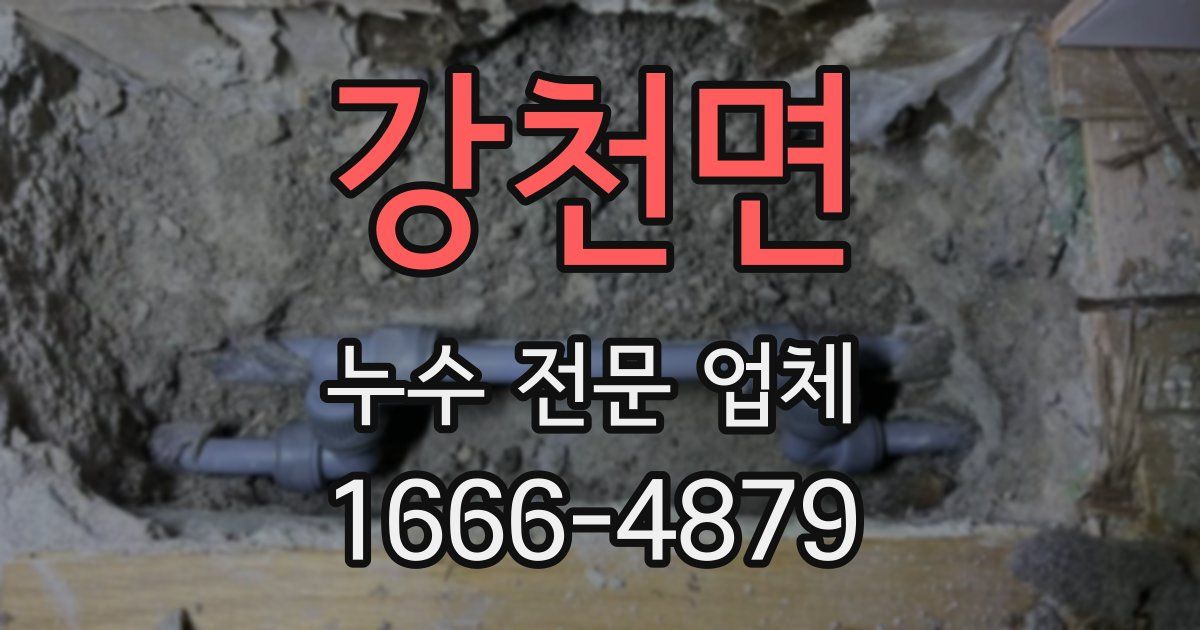 강천면 누수 전문 업체