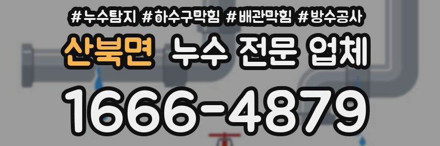산북면 누수 전문 업체
