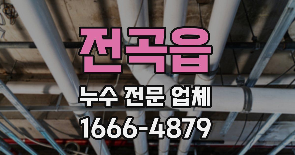 전곡읍 누수 전문 업체