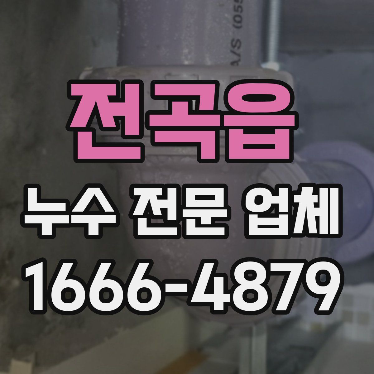 전곡읍 누수 전문 업체