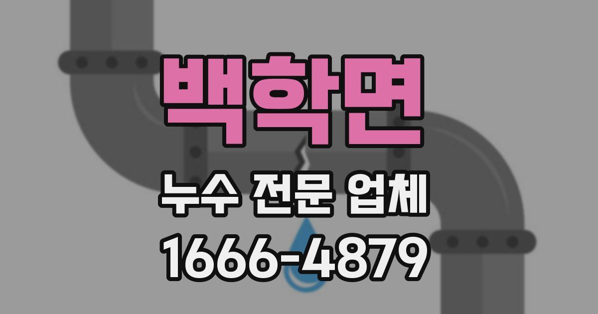 백학면 누수 전문 업체