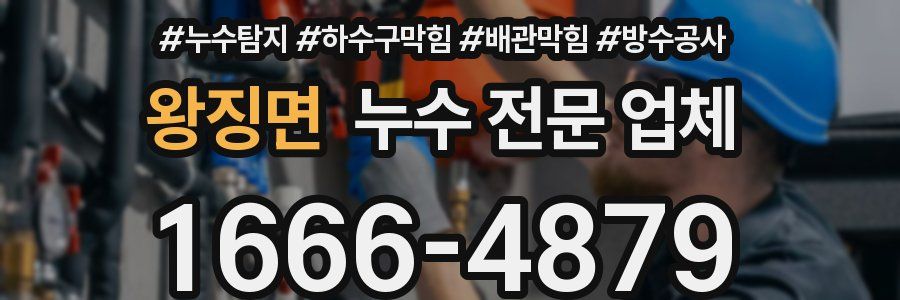 왕징면 누수 전문 업체