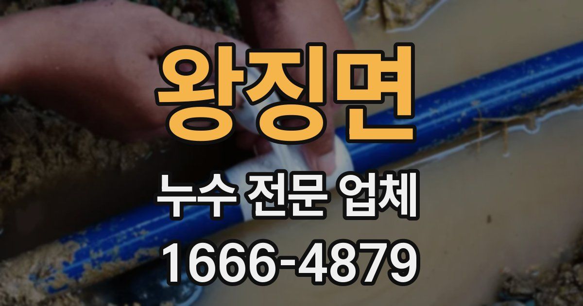 왕징면 누수 전문 업체