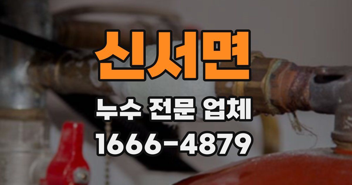 신서면 누수 전문 업체