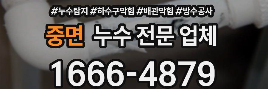 중면 누수 전문 업체