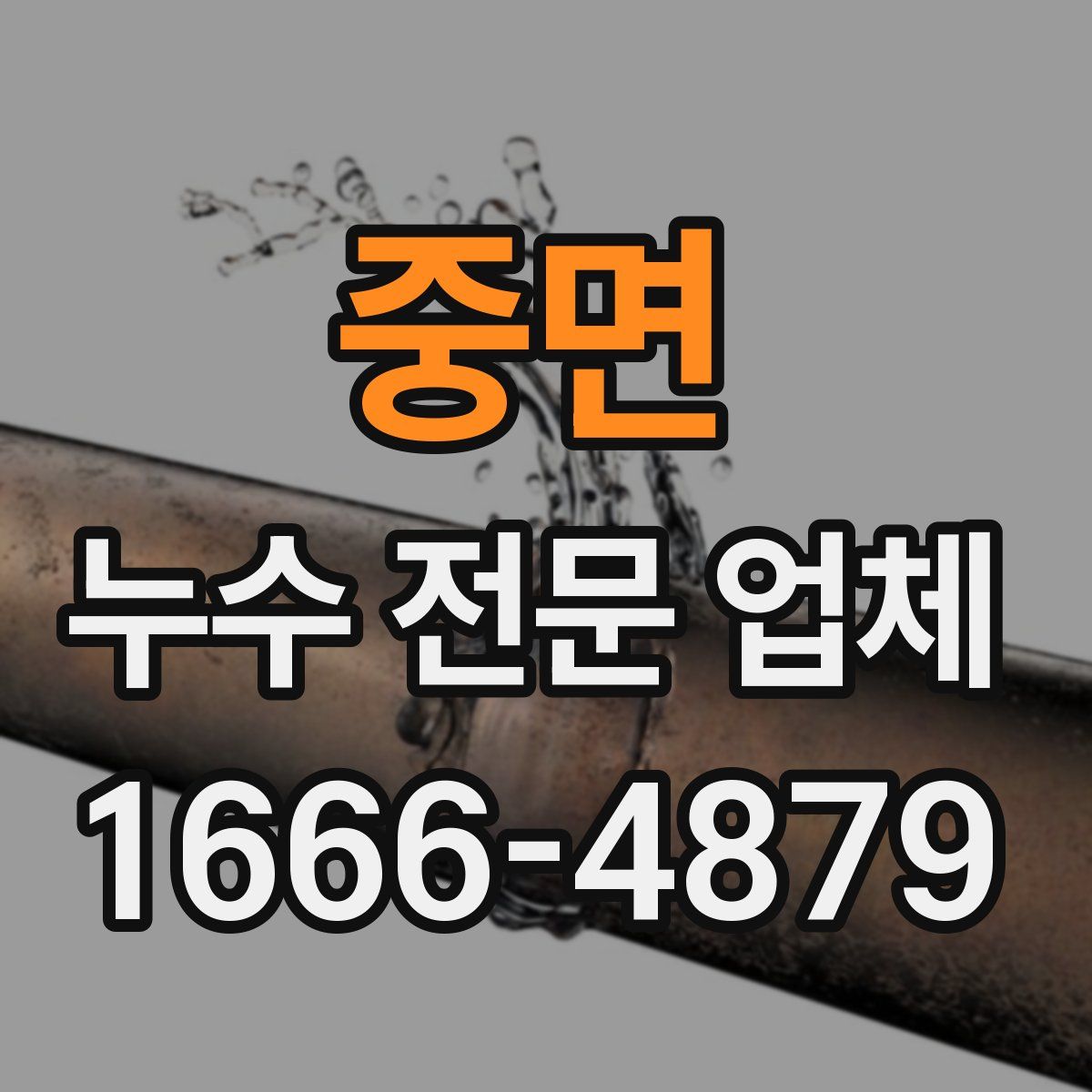 중면 누수 전문 업체