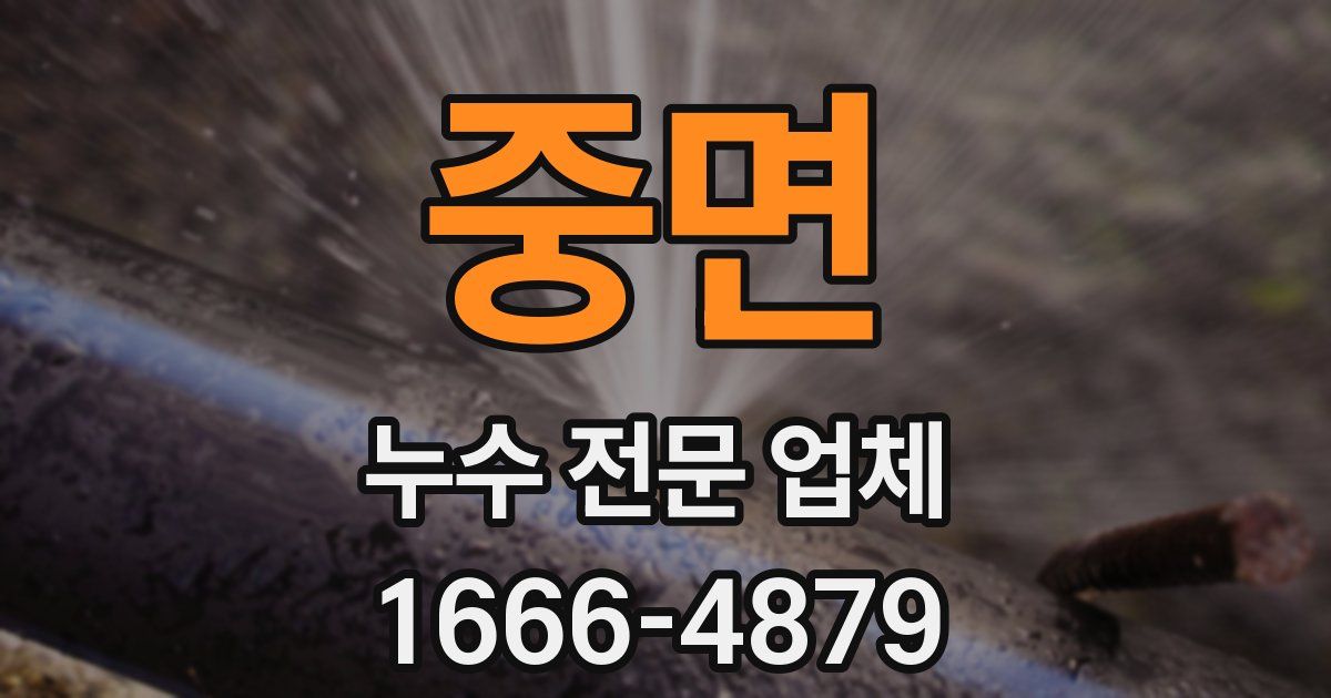중면 누수 전문 업체