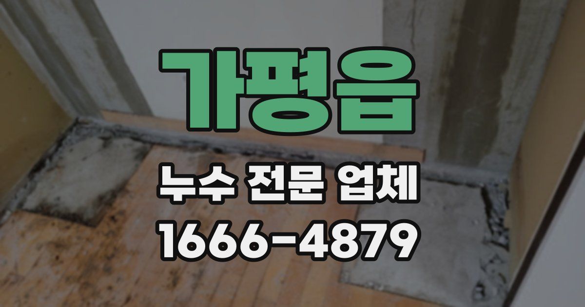 가평읍 누수 전문 업체