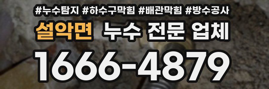 설악면 누수 전문 업체