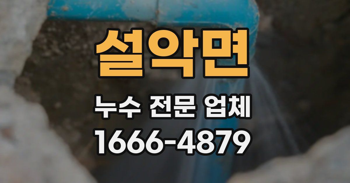 설악면 누수 전문 업체