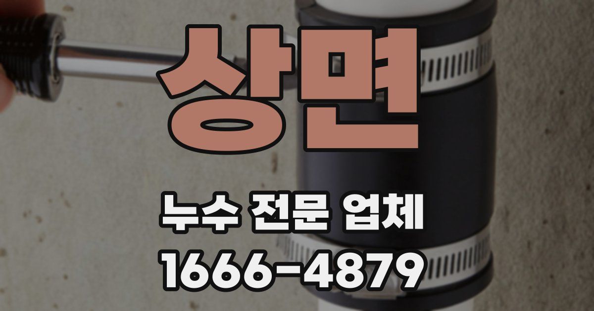 상면 누수 전문 업체