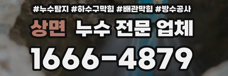 상면 누수 전문 업체