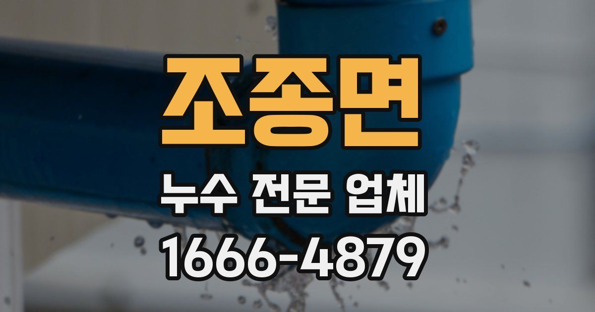 조종면 누수 전문 업체