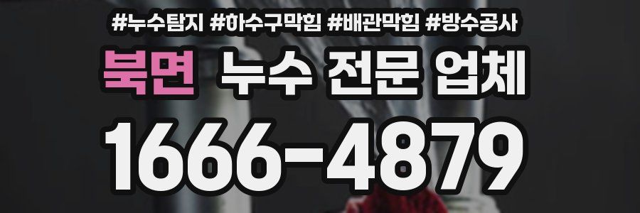 북면 누수 전문 업체