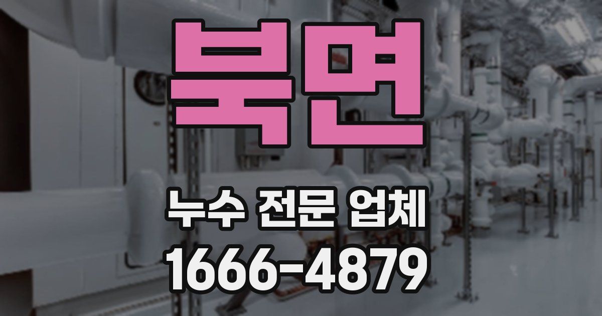 북면 누수 전문 업체