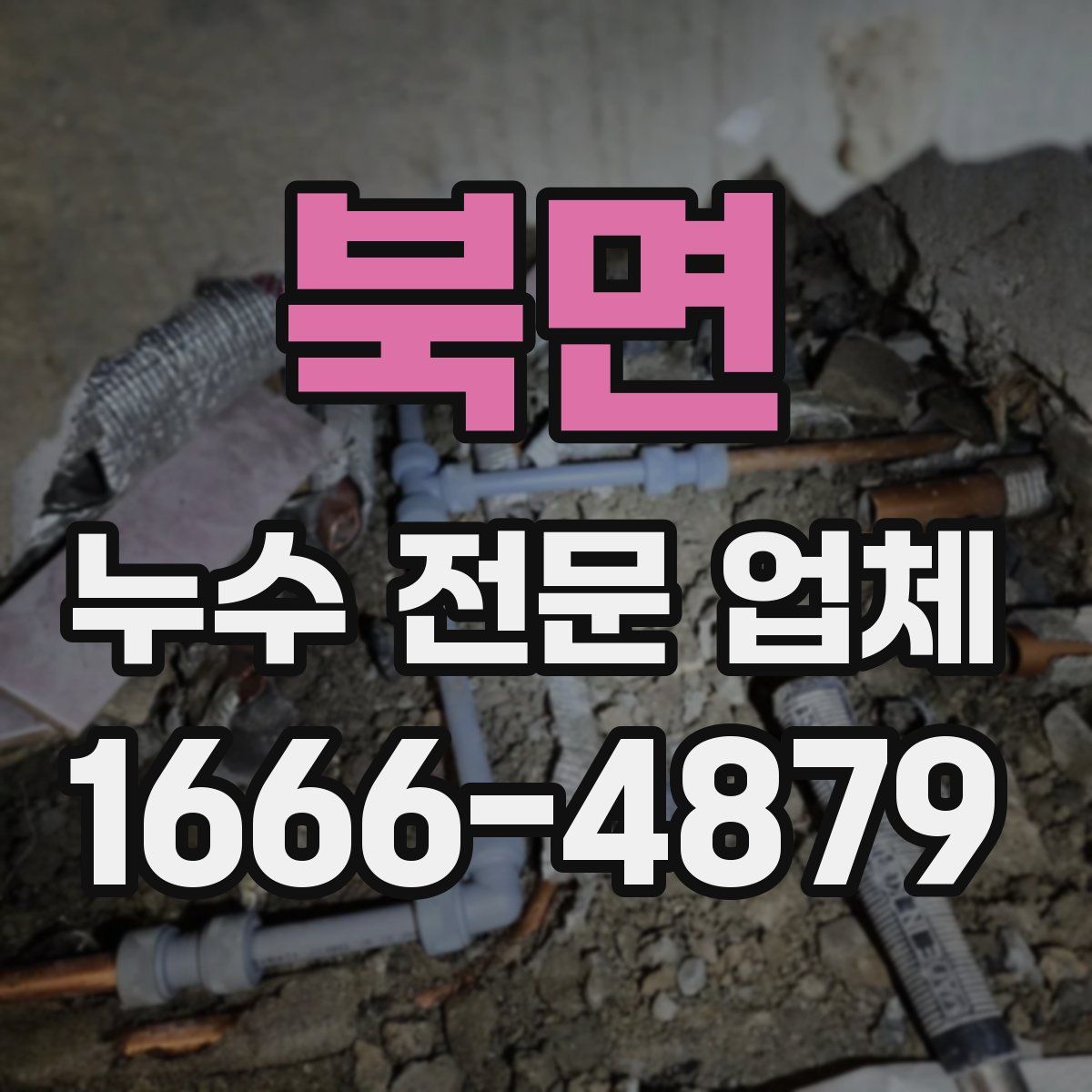 북면 누수 전문 업체