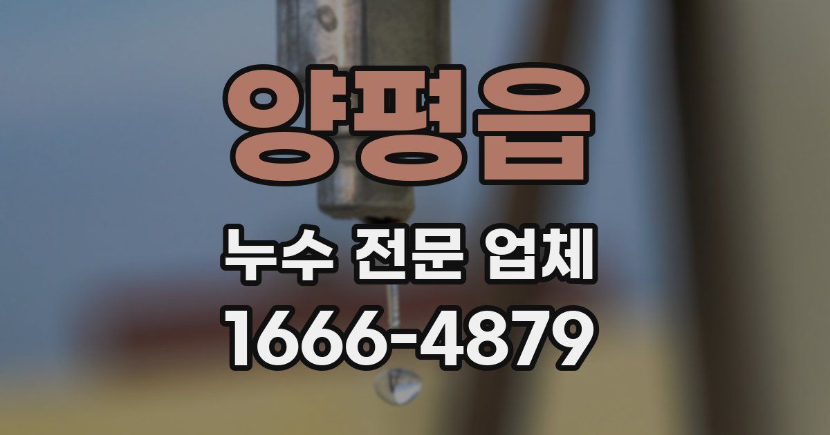 양평읍 누수 전문 업체