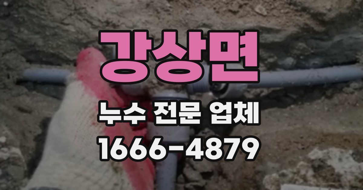 강상면 누수 전문 업체