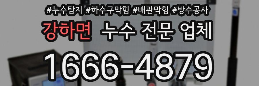 강하면 누수 전문 업체