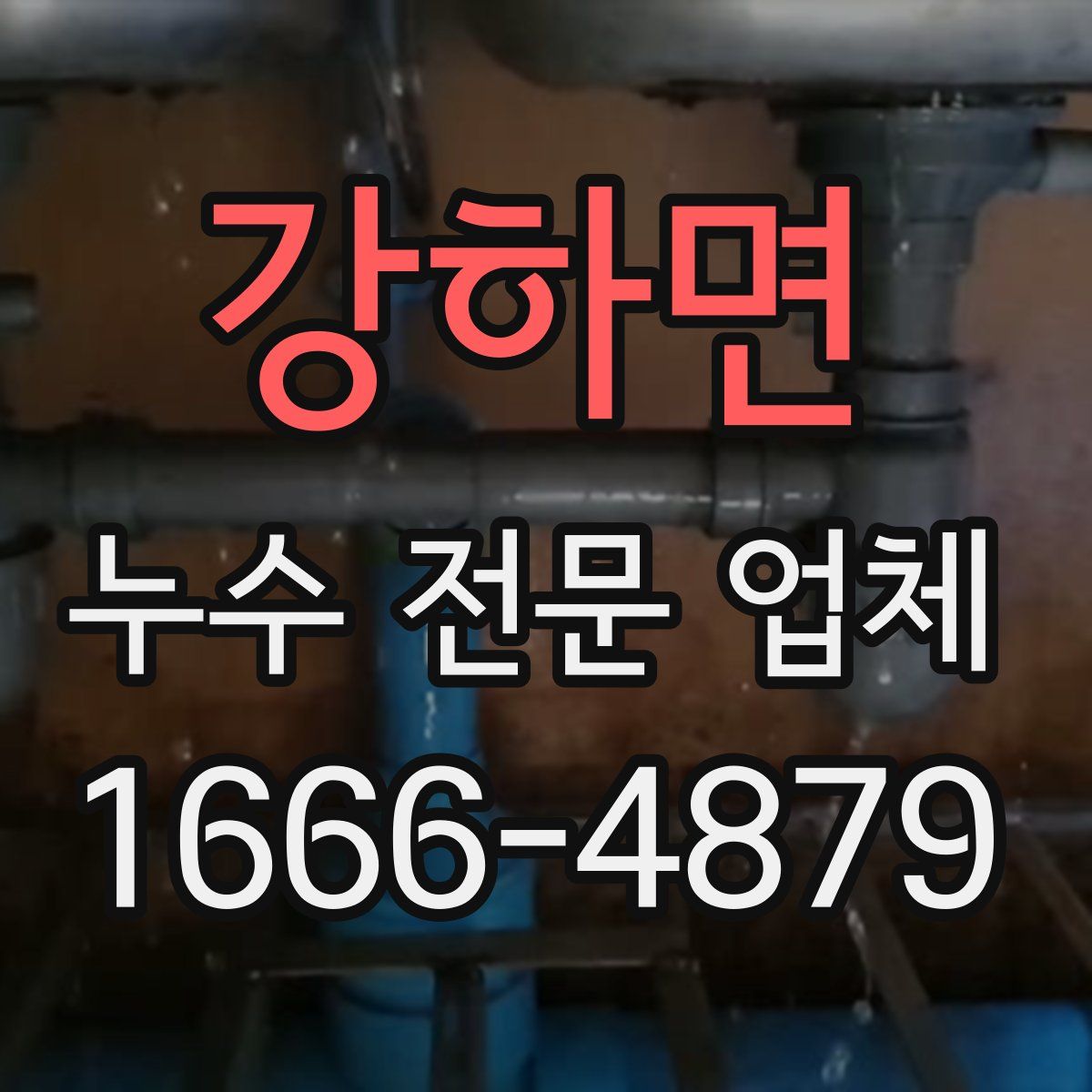 강하면 누수 전문 업체