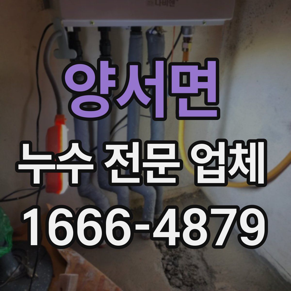 양서면 누수 전문 업체