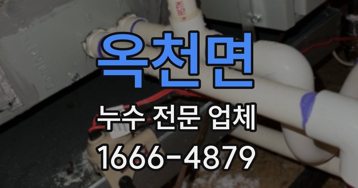 옥천면 누수 전문 업체