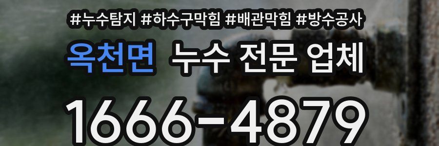 옥천면 누수 전문 업체