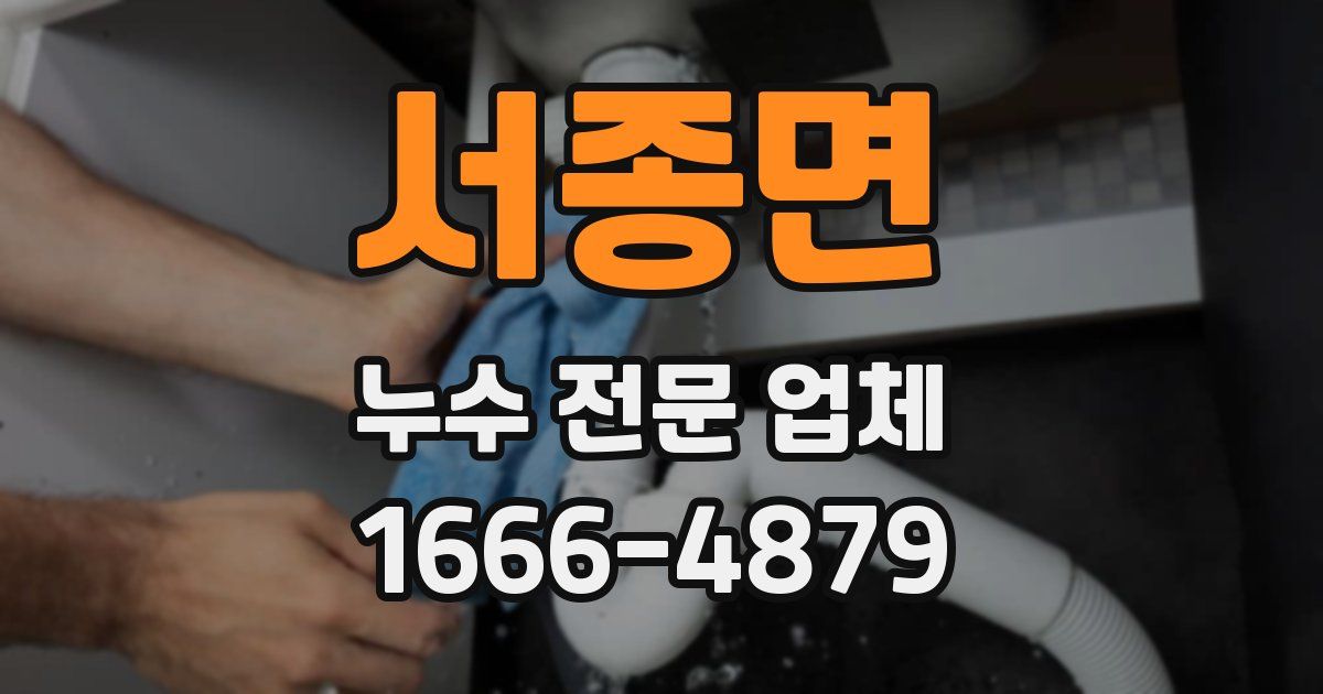서종면 누수 전문 업체