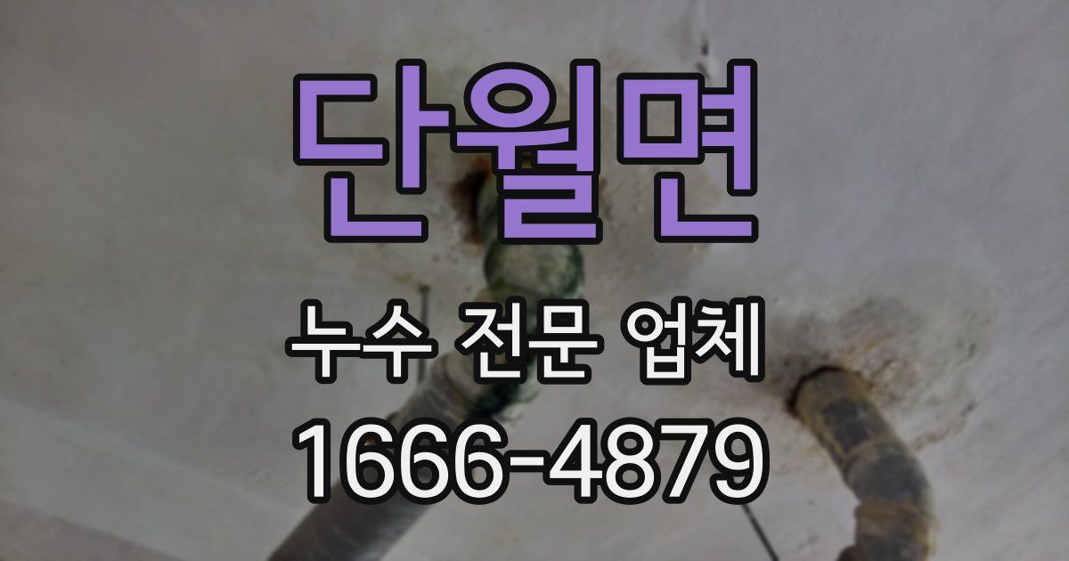 단월면 누수 전문 업체
