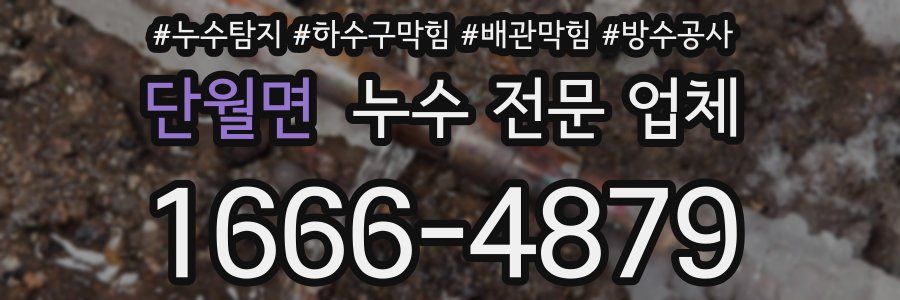 단월면 누수 전문 업체