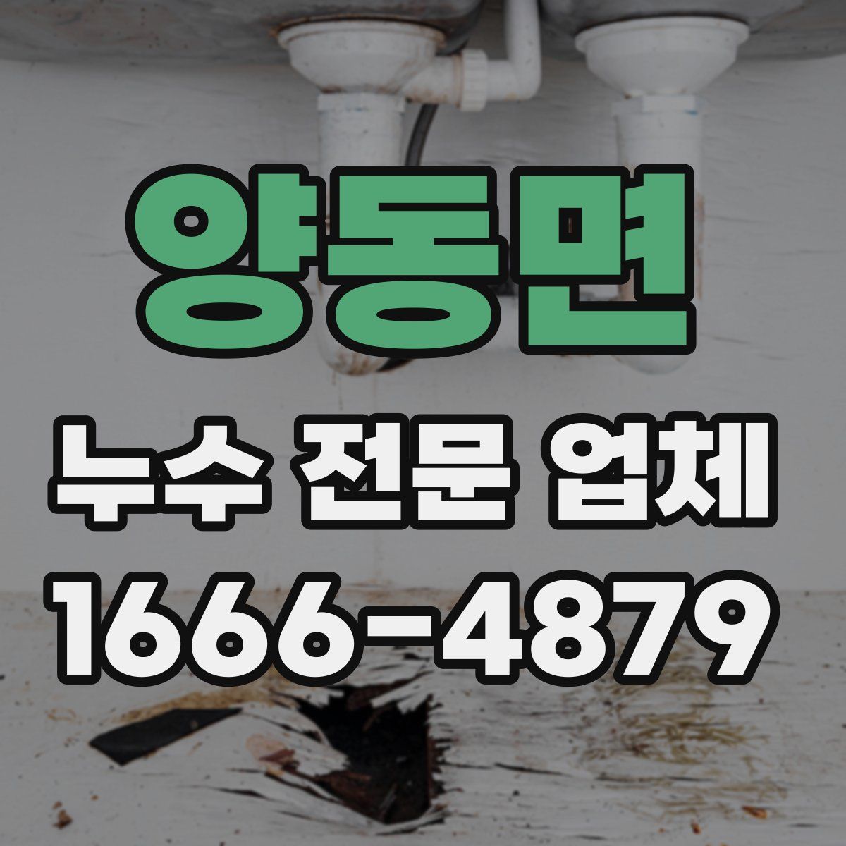 양동면 누수 전문 업체