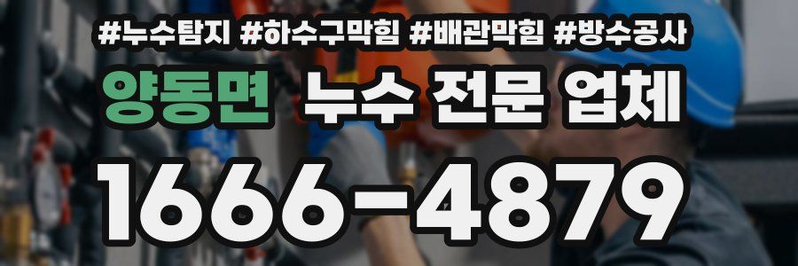 양동면 누수 전문 업체