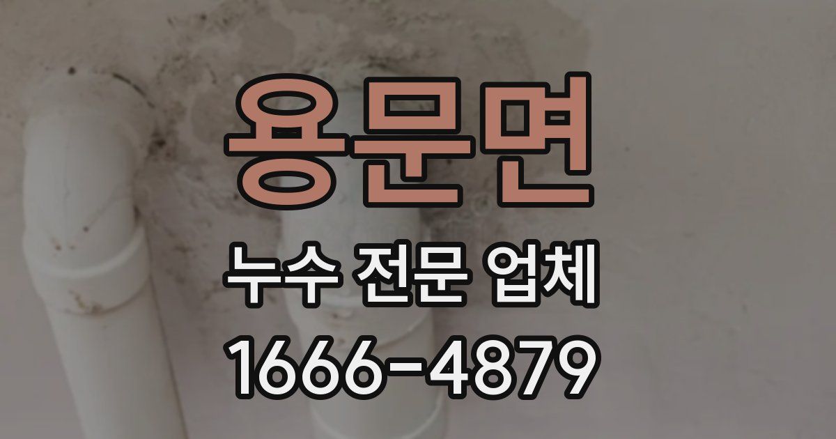용문면 누수 전문 업체