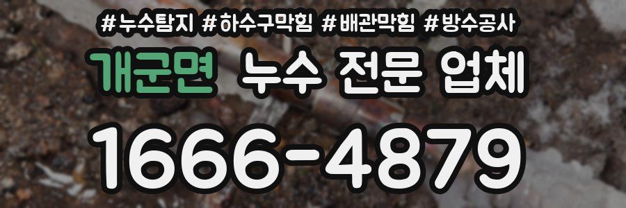 개군면 누수 전문 업체