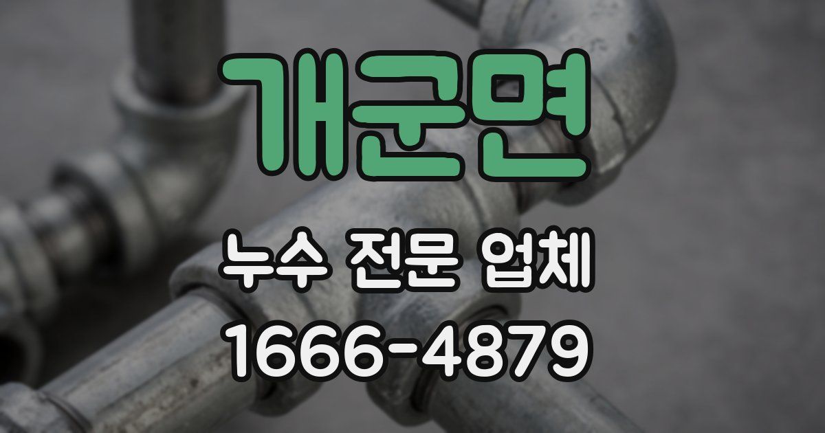 개군면 누수 전문 업체