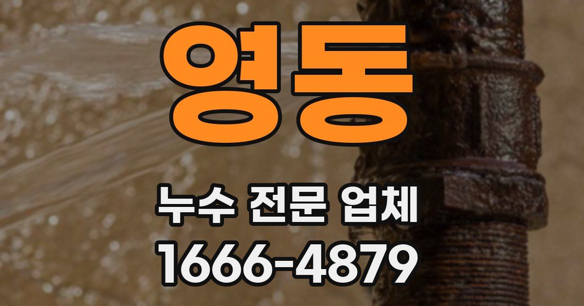 영동 누수 전문 업체