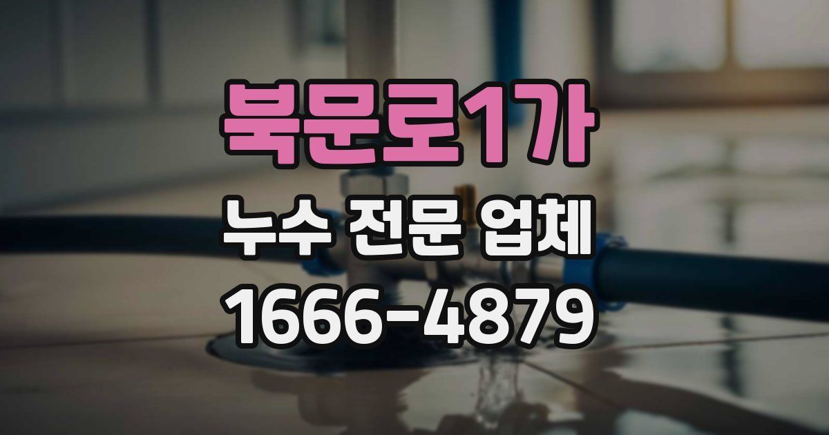 북문로1가 누수 전문 업체
