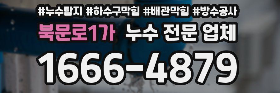 북문로1가 누수 전문 업체