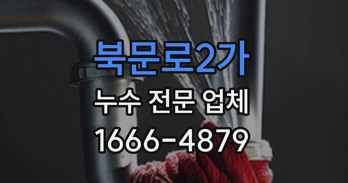 북문로2가 누수 전문 업체