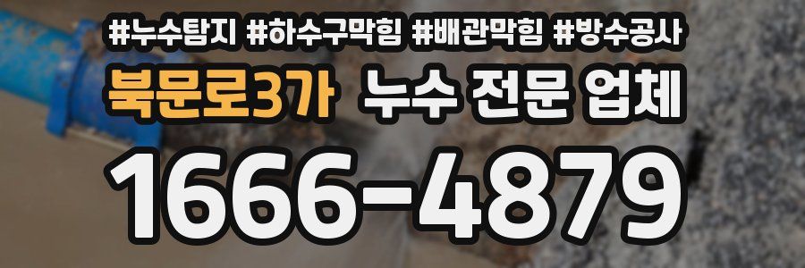 북문로3가 누수 전문 업체