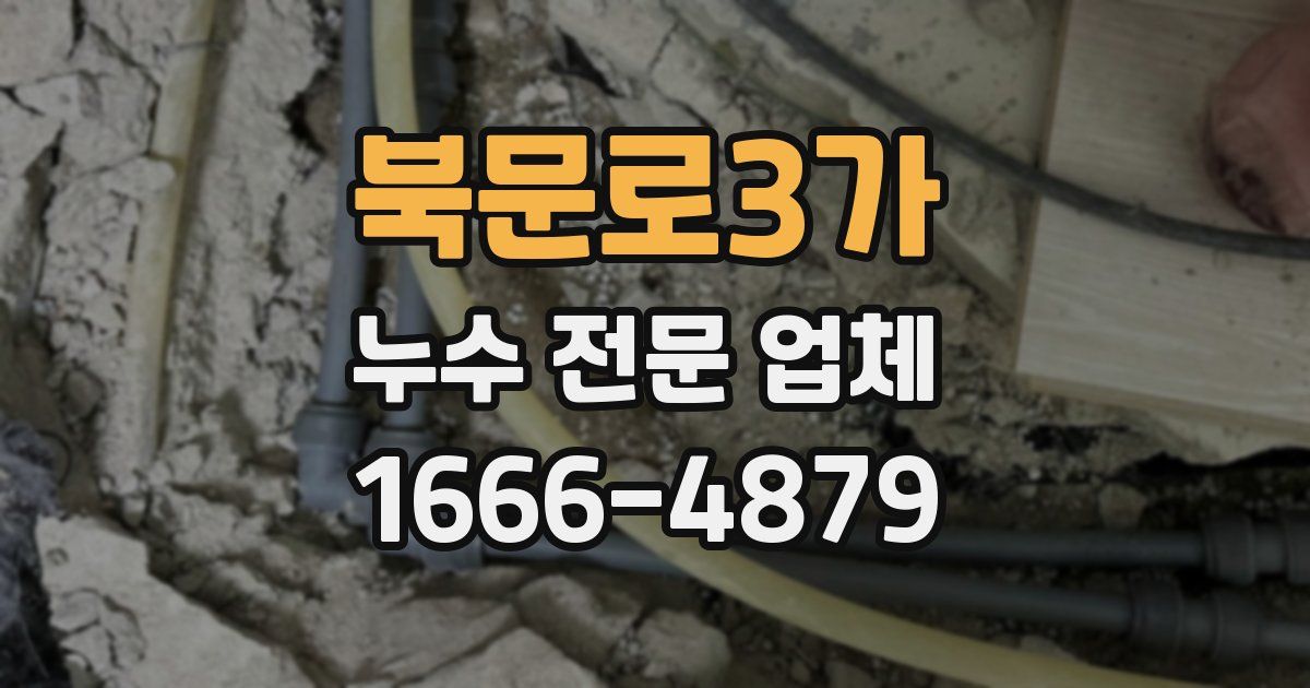 북문로3가 누수 전문 업체