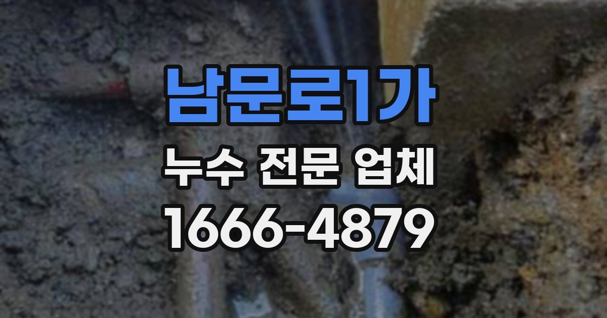 남문로1가 누수 전문 업체