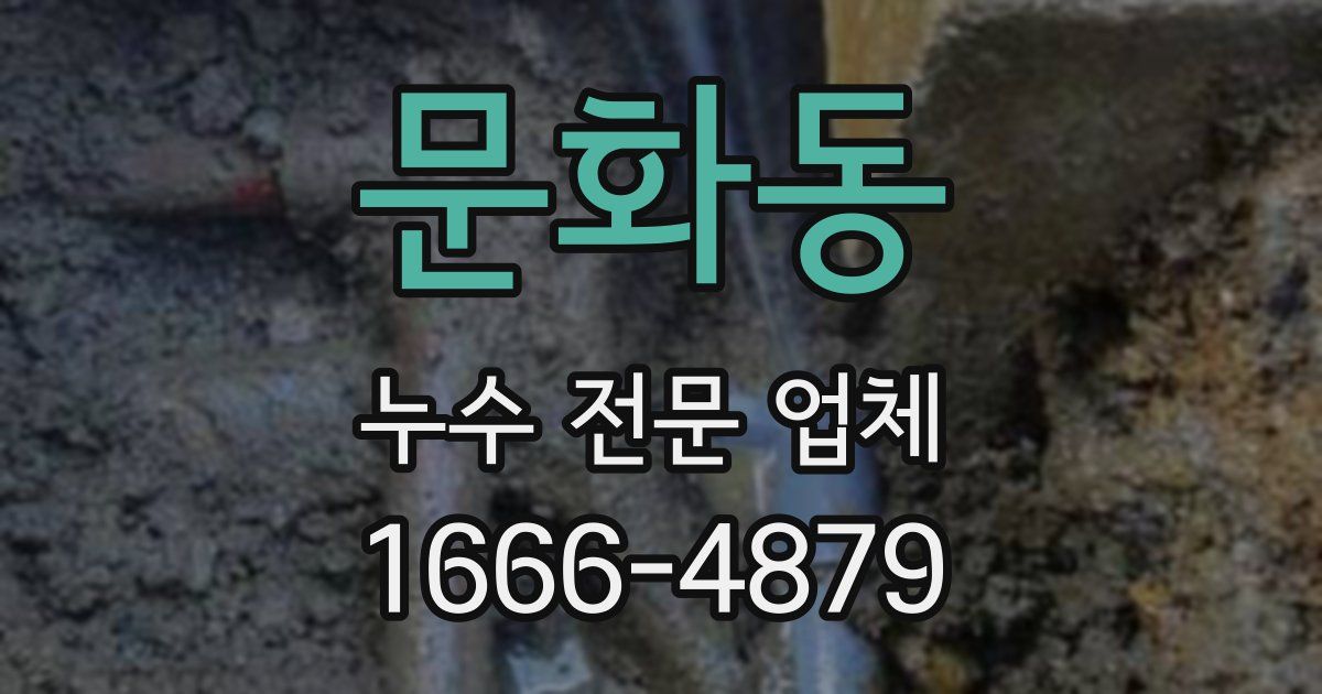 문화동 누수 전문 업체